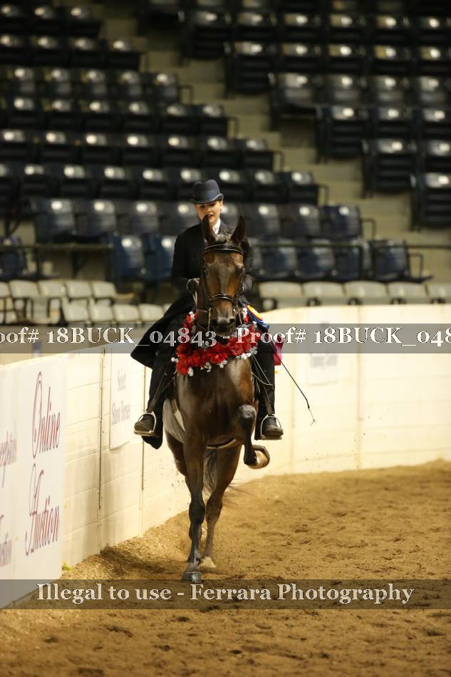 Proof 18BUCK_04843