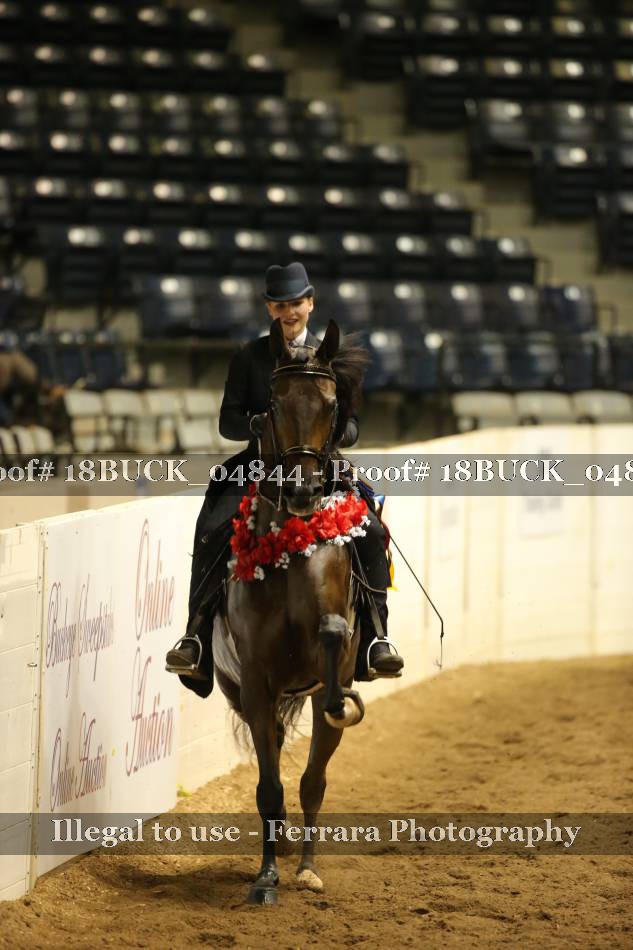 Proof 18BUCK_04844
