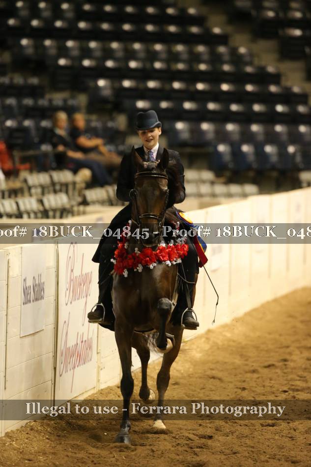 Proof 18BUCK_04845