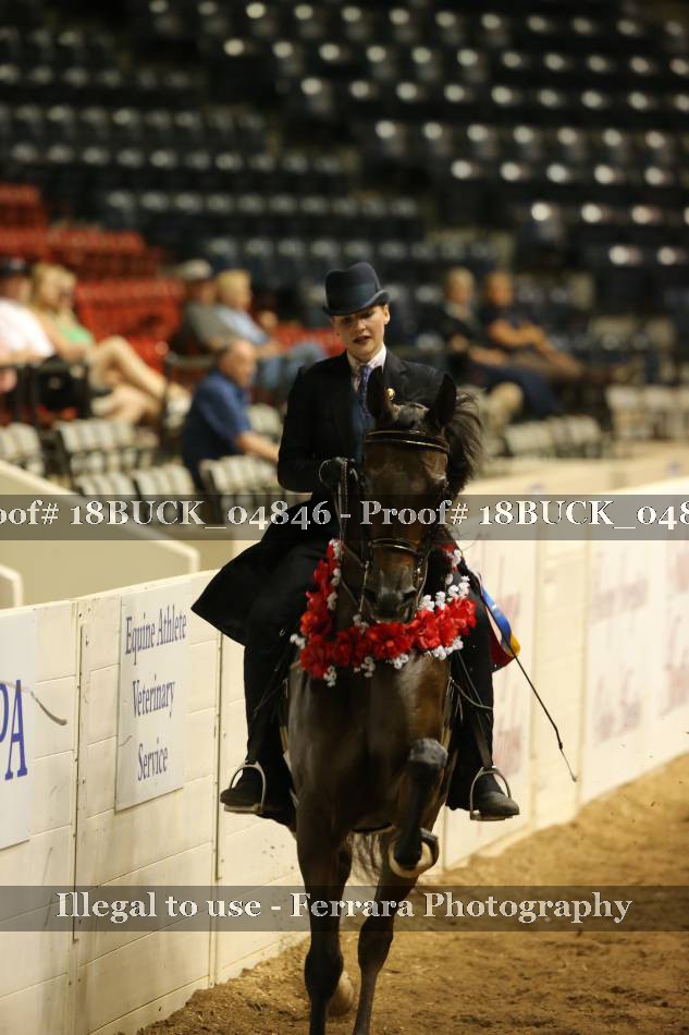 Proof 18BUCK_04846