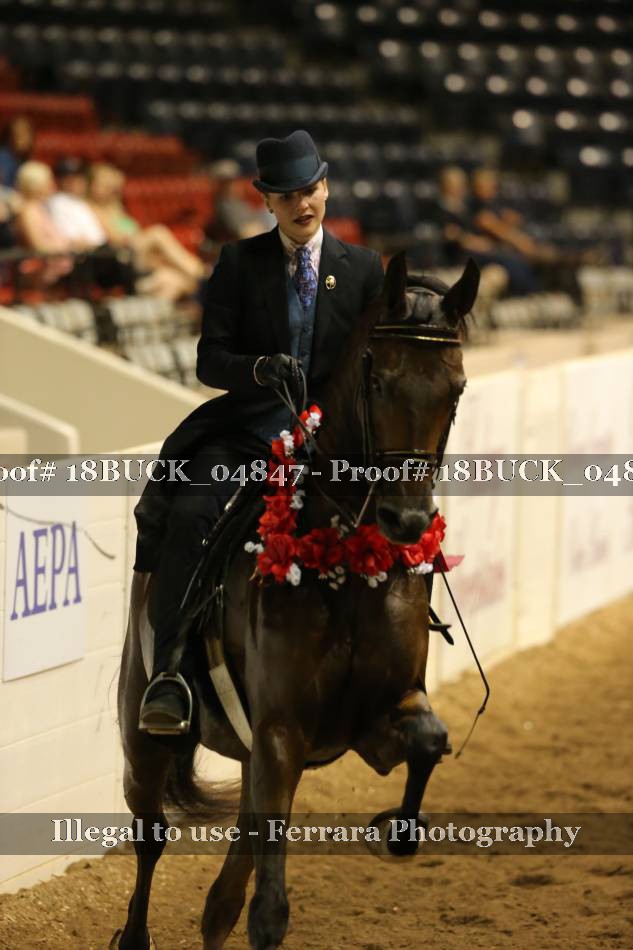 Proof 18BUCK_04847
