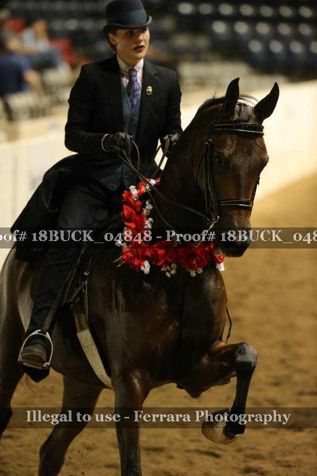 Proof 18BUCK_04848