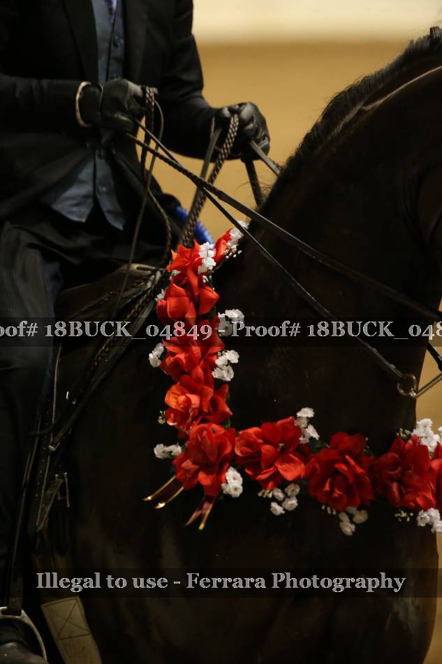 Proof 18BUCK_04849