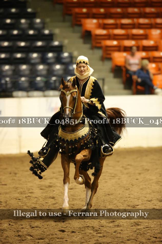 Proof 18BUCK_04851