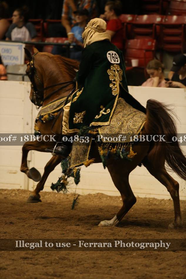 Proof 18BUCK_04853