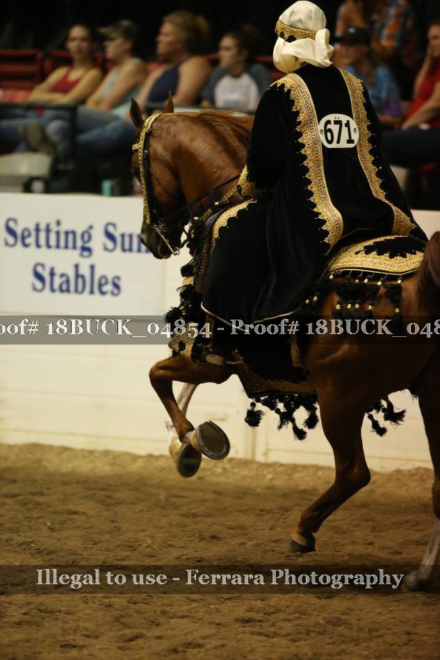 Proof 18BUCK_04854