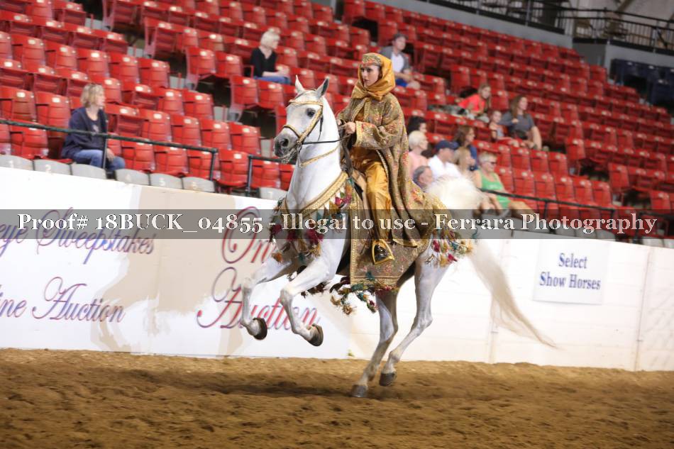 Proof 18BUCK_04855