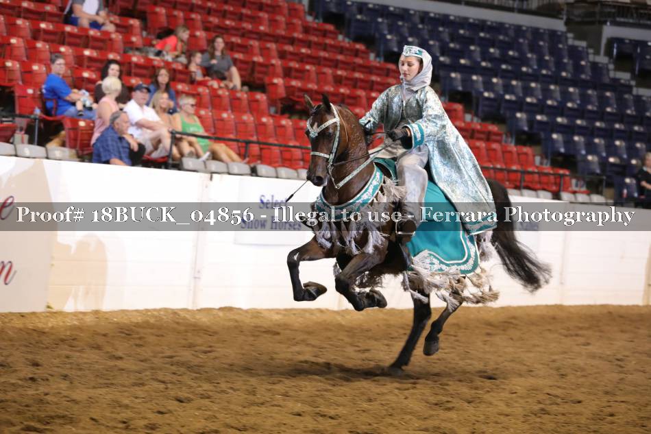Proof 18BUCK_04856