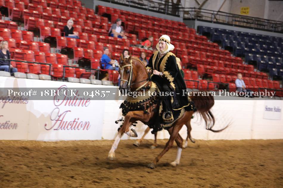 Proof 18BUCK_04857