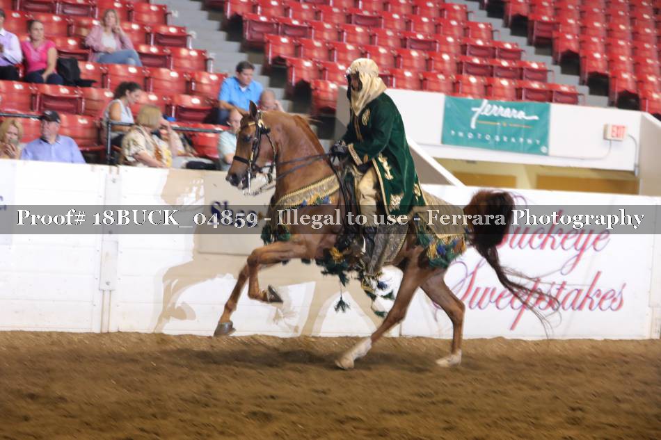 Proof 18BUCK_04859