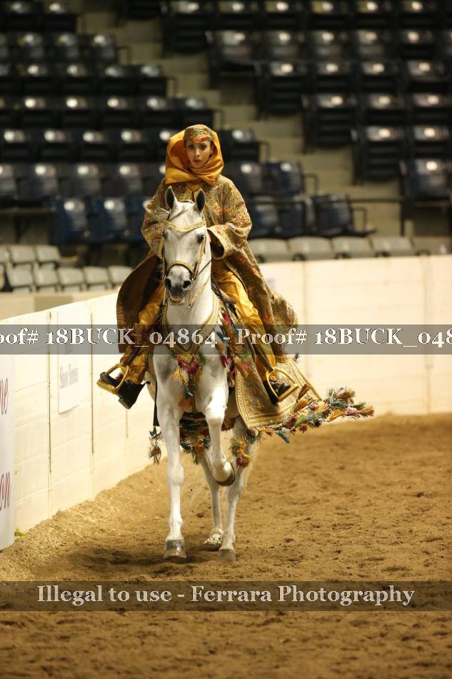 Proof 18BUCK_04864
