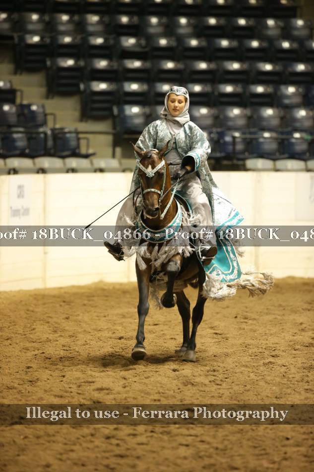 Proof 18BUCK_04866