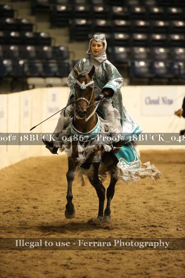 Proof 18BUCK_04867