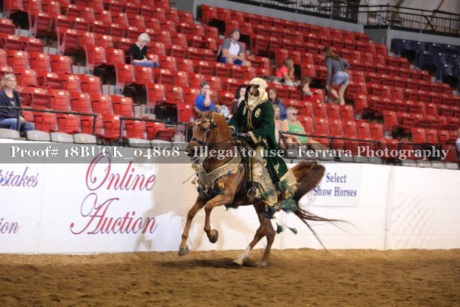 Proof 18BUCK_04868