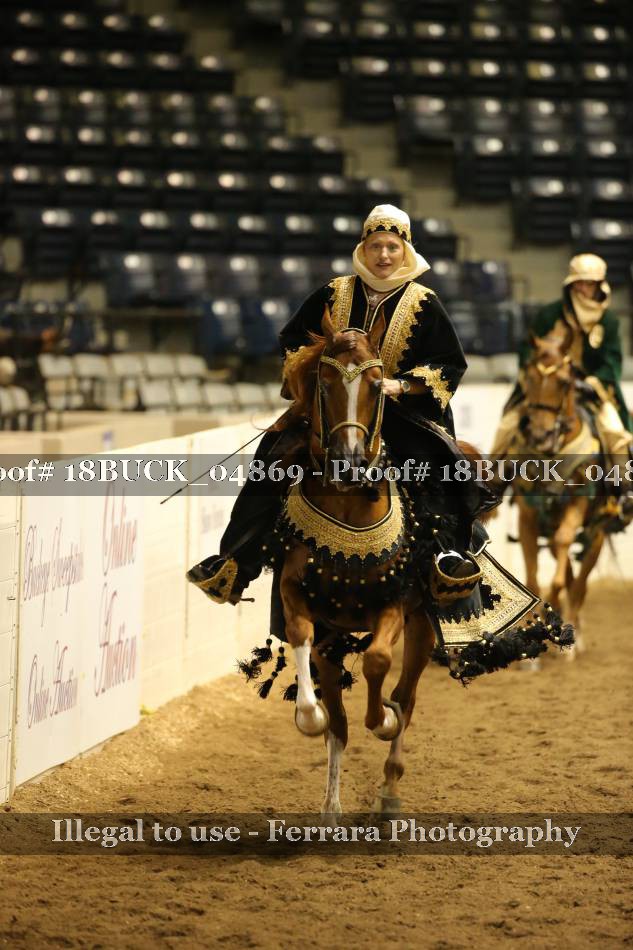 Proof 18BUCK_04869