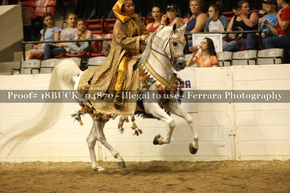 Proof 18BUCK_04870