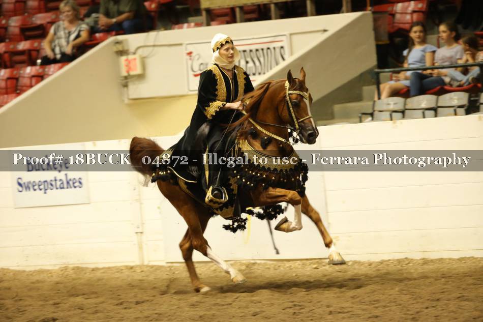 Proof 18BUCK_04872