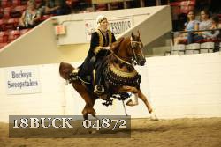 18BUCK_04872 proof