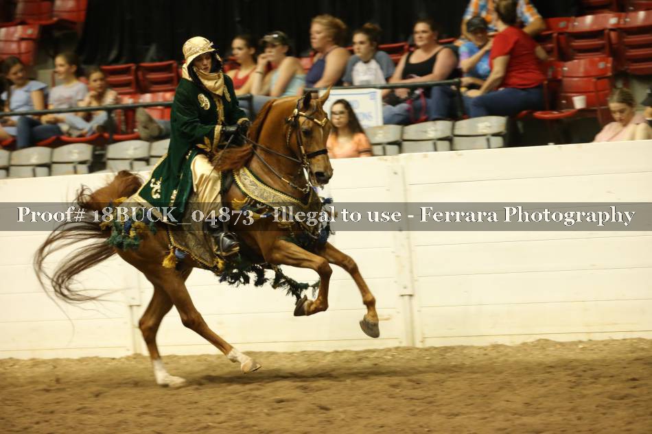 Proof 18BUCK_04873