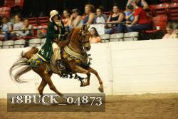 18BUCK_04873 proof