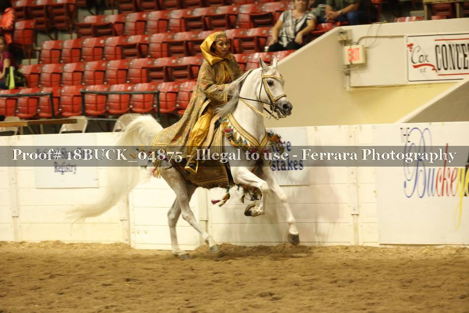 Proof 18BUCK_04875