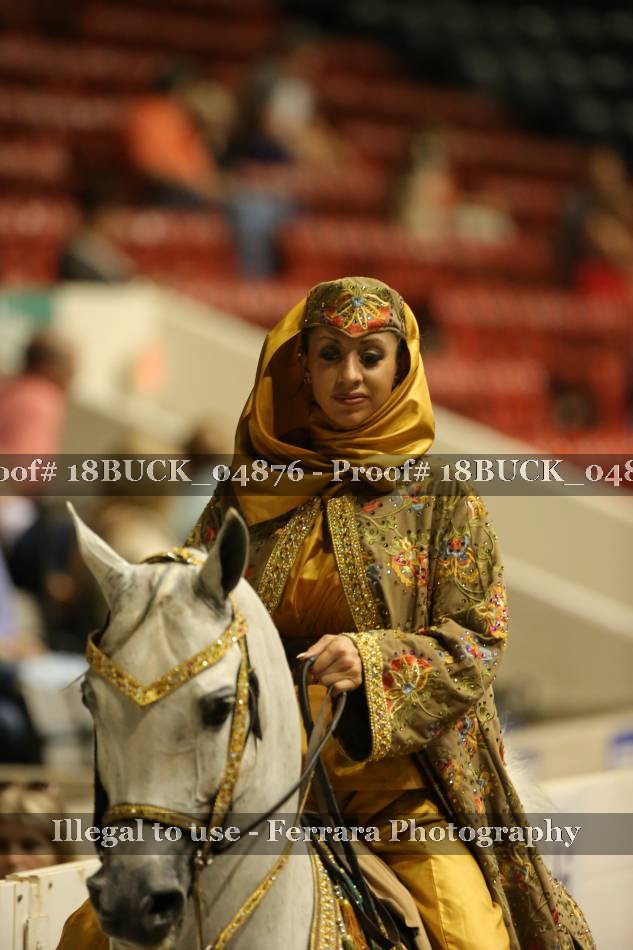Proof 18BUCK_04876