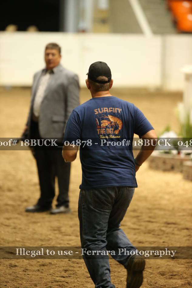 Proof 18BUCK_04878