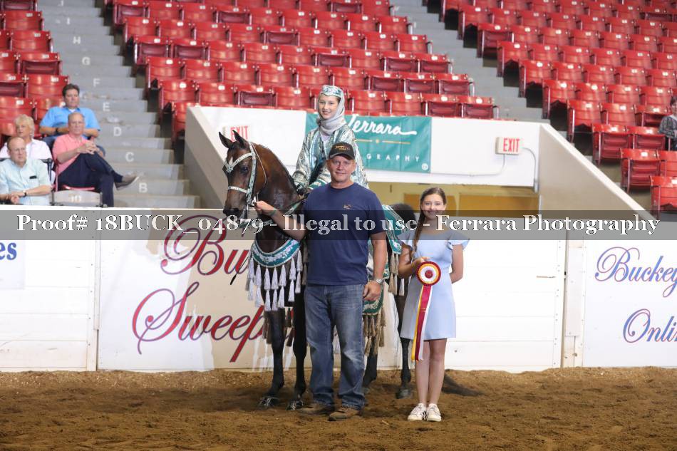 Proof 18BUCK_04879