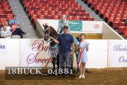 18BUCK_04881 proof