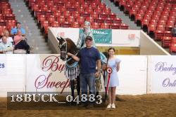 18BUCK_04883 proof