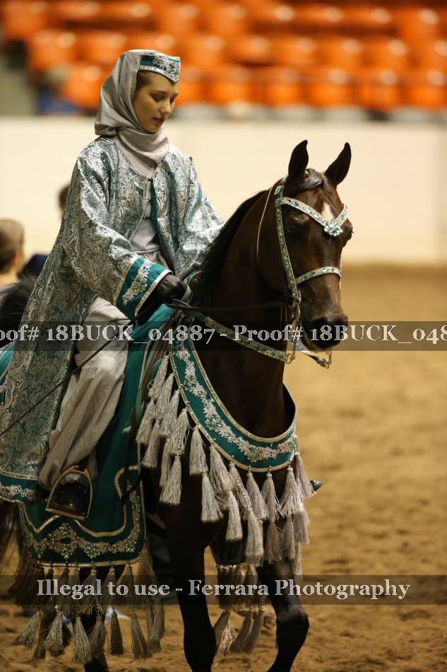 Proof 18BUCK_04887