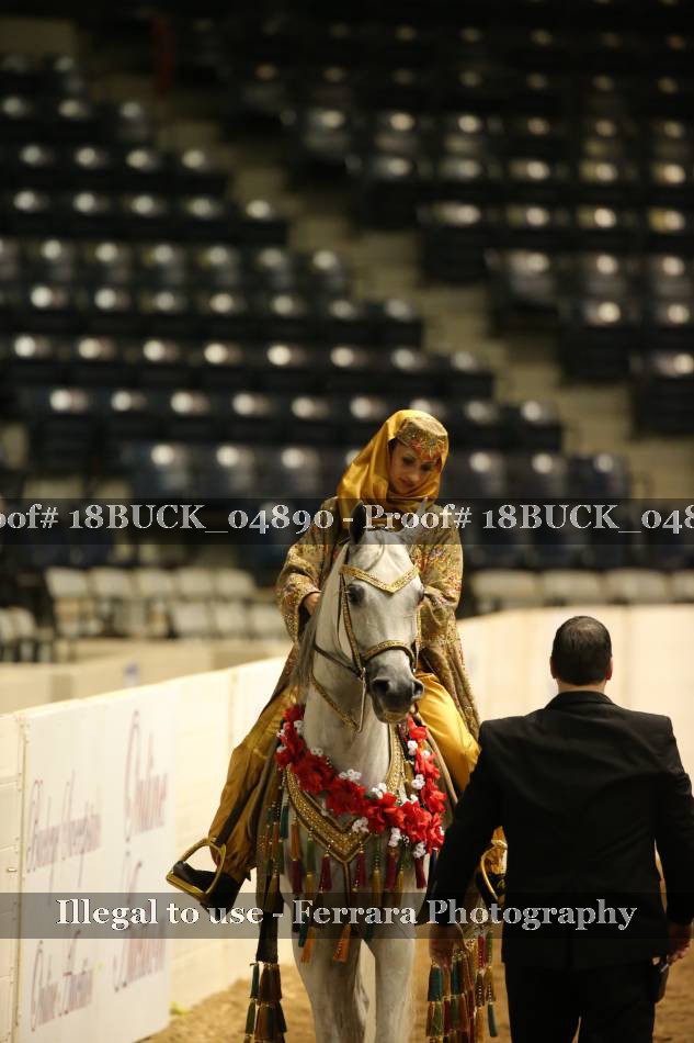 Proof 18BUCK_04890