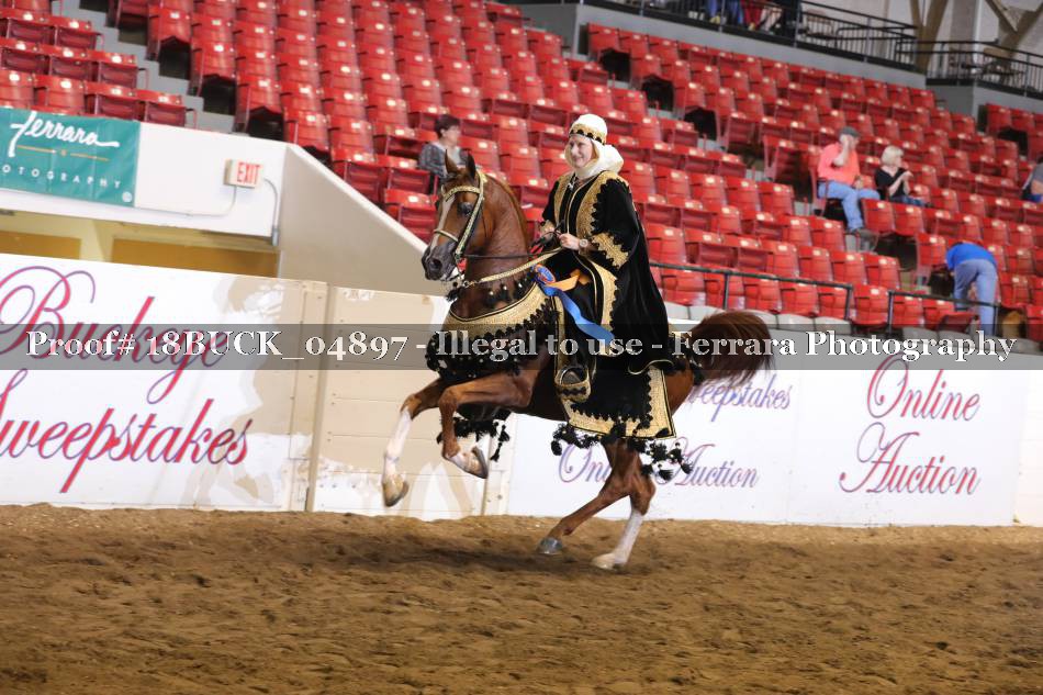 Proof 18BUCK_04897