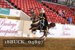 18BUCK_04897 proof