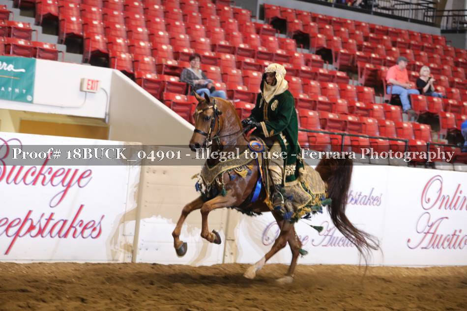 Proof 18BUCK_04901