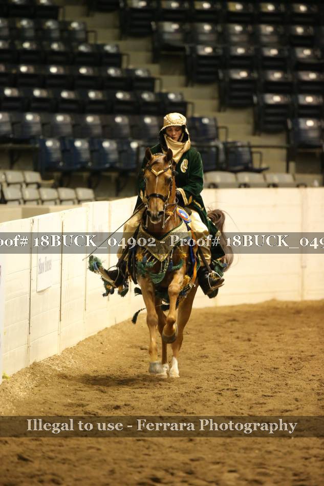 Proof 18BUCK_04902