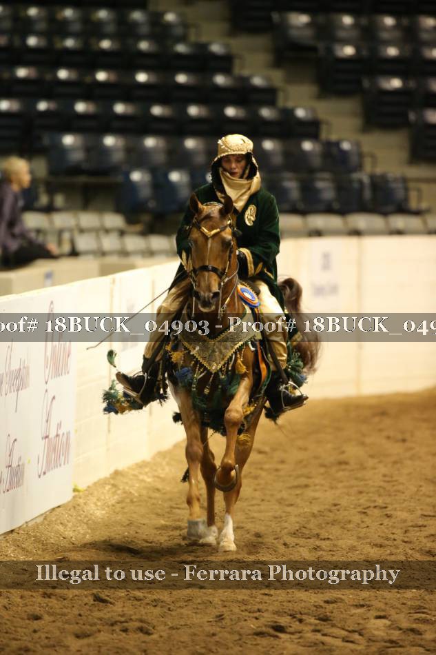 Proof 18BUCK_04903