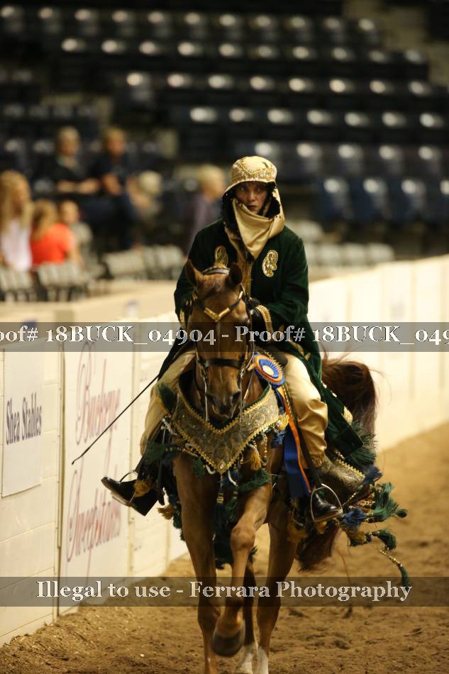 Proof 18BUCK_04904