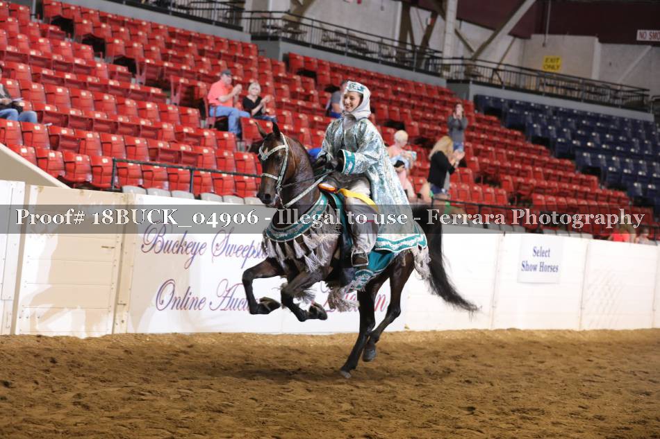 Proof 18BUCK_04906