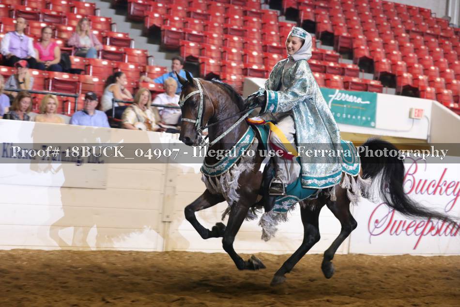 Proof 18BUCK_04907