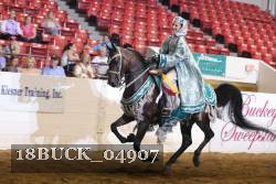 18BUCK_04907 proof