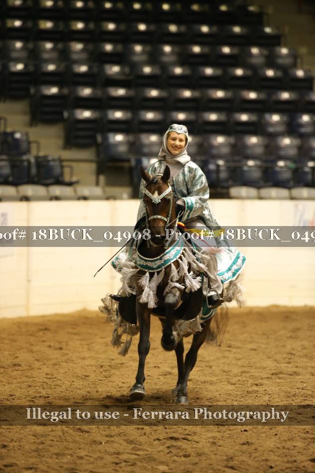 Proof 18BUCK_04908