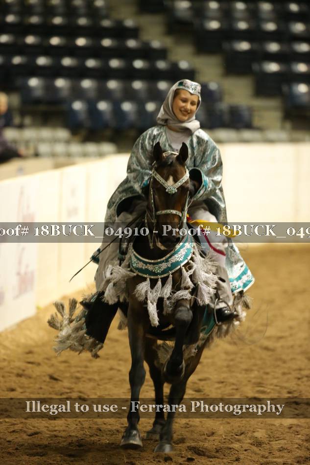 Proof 18BUCK_04910
