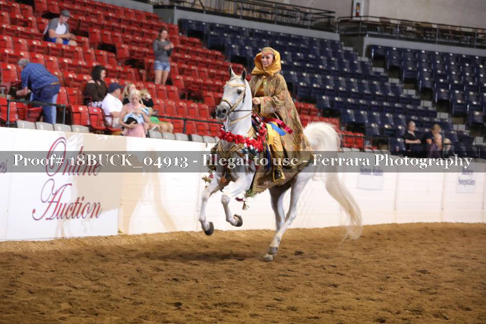 Proof 18BUCK_04913