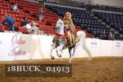 18BUCK_04913 proof