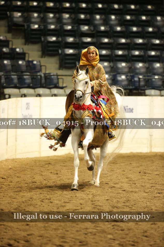 Proof 18BUCK_04915