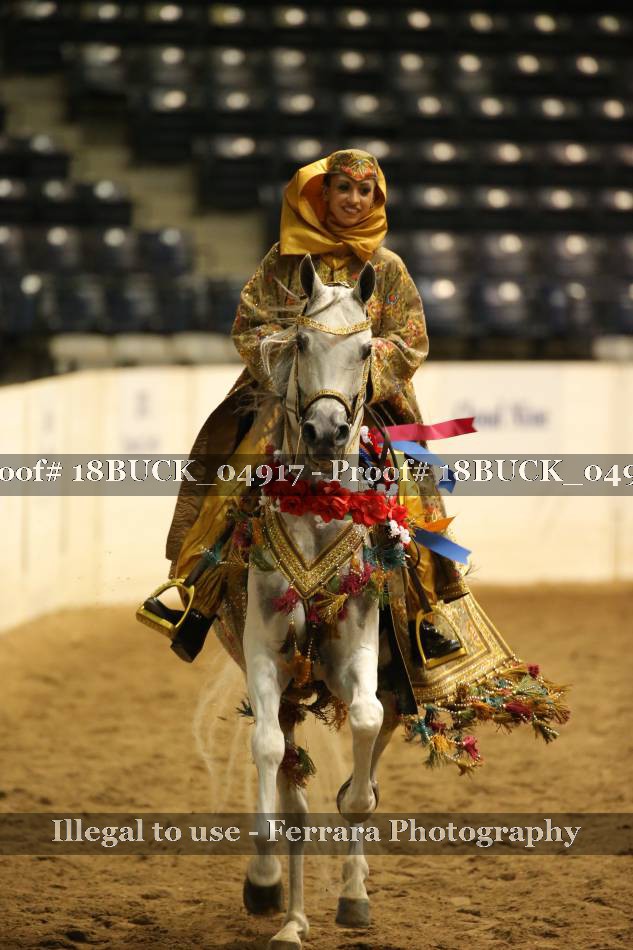 Proof 18BUCK_04917