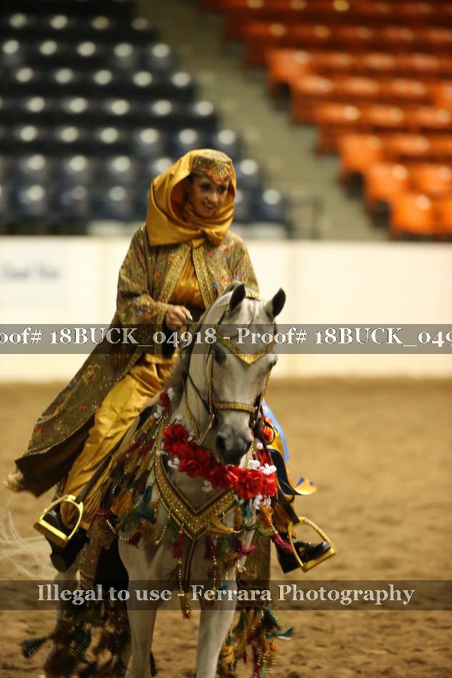 Proof 18BUCK_04918