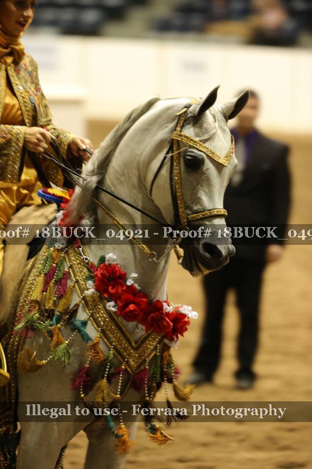 Proof 18BUCK_04921