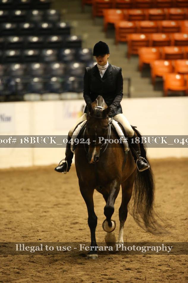 Proof 18BUCK_04924